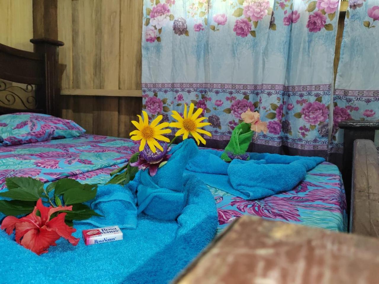 Los Paniquines Ecolodge Drake Bay Ngoại thất bức ảnh