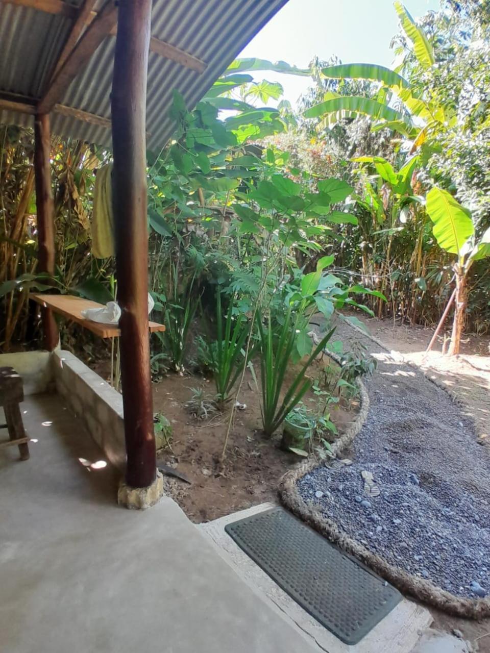 Los Paniquines Ecolodge Drake Bay Ngoại thất bức ảnh