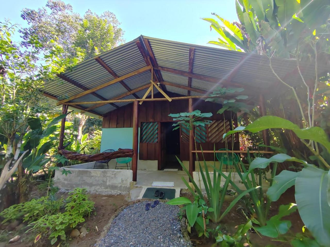 Los Paniquines Ecolodge Drake Bay Ngoại thất bức ảnh