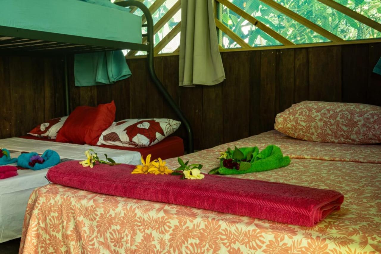 Los Paniquines Ecolodge Drake Bay Ngoại thất bức ảnh