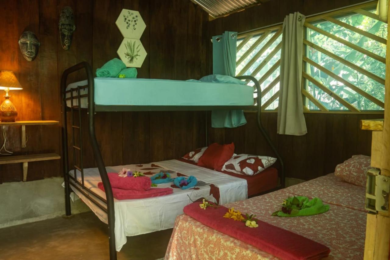 Los Paniquines Ecolodge Drake Bay Ngoại thất bức ảnh