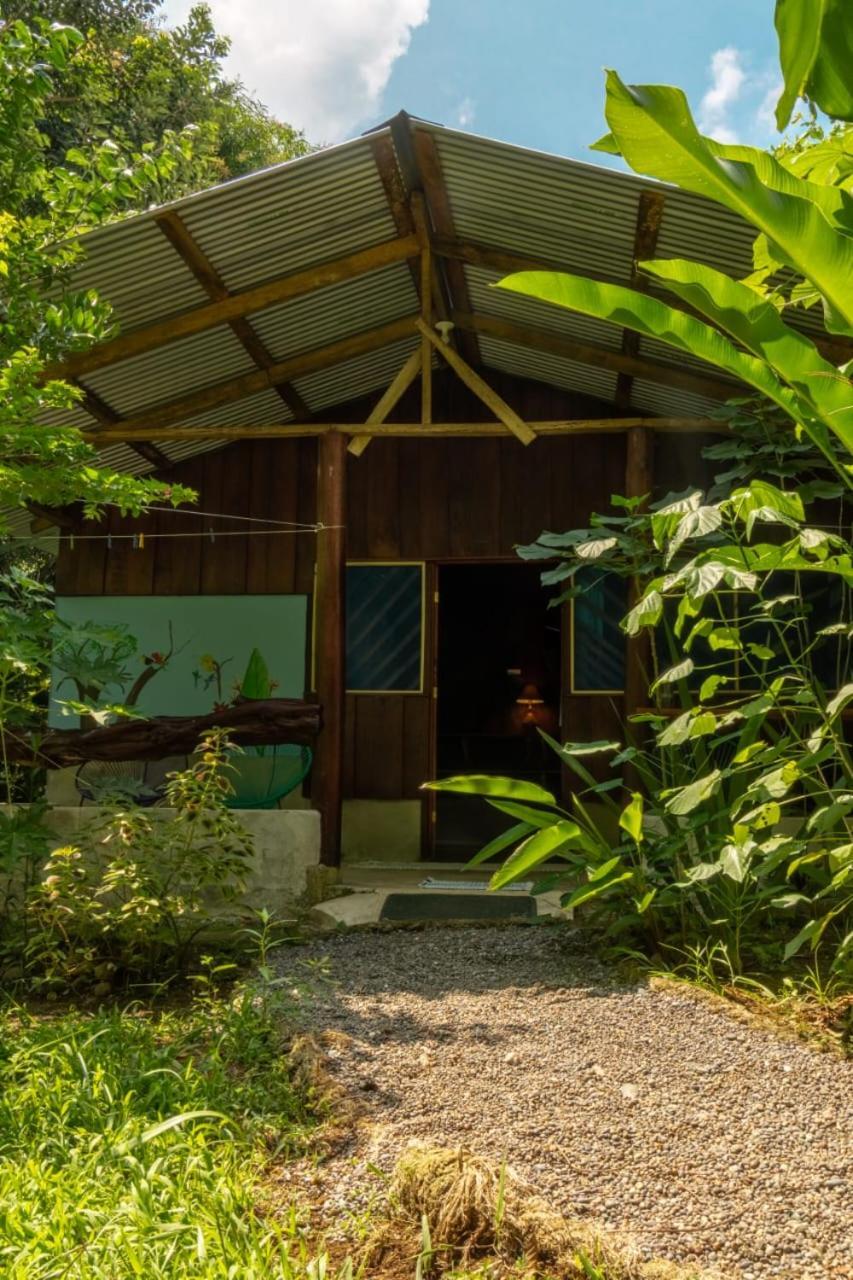 Los Paniquines Ecolodge Drake Bay Ngoại thất bức ảnh
