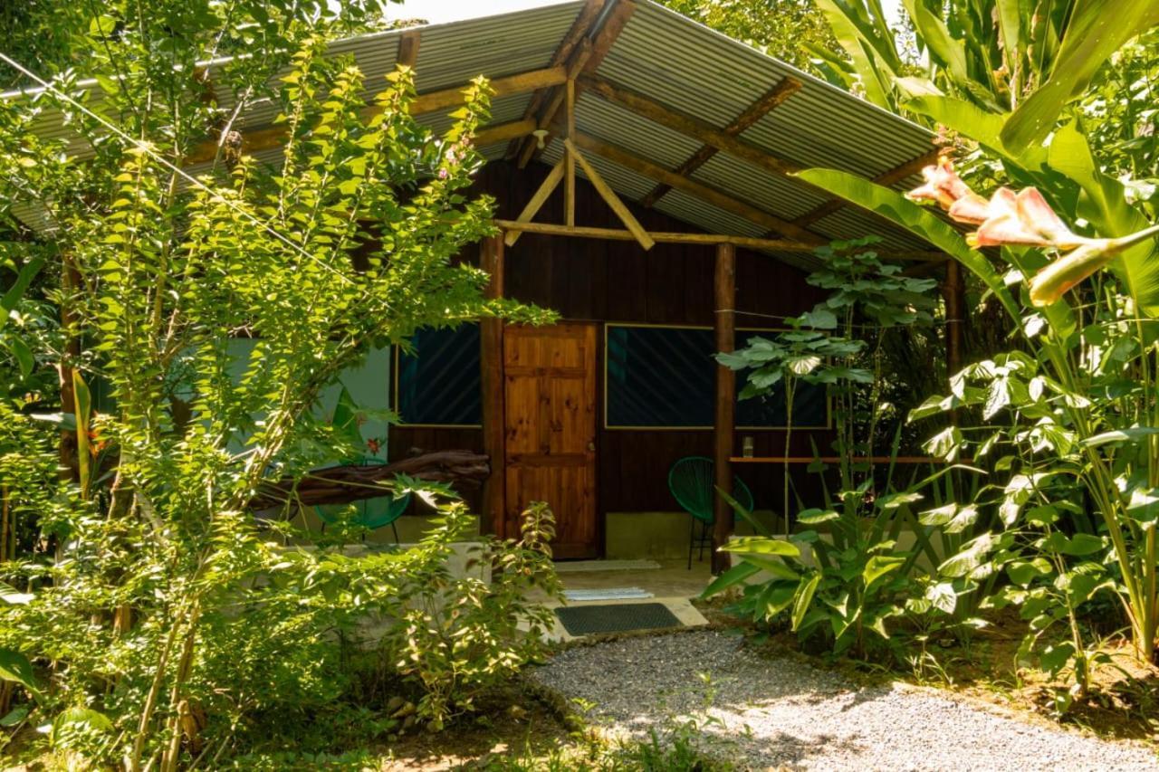 Los Paniquines Ecolodge Drake Bay Ngoại thất bức ảnh