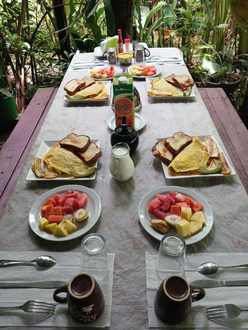 Los Paniquines Ecolodge Drake Bay Ngoại thất bức ảnh